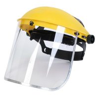 Face Shield