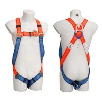 Safety Harness