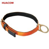 Safety Lifting Waist Belt with D-Ring BF422