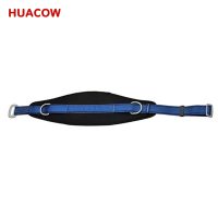 Safety Lifting Waist Belt with D-Ring & Padded BF424