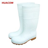 Food Industrial Safety Work Rain PVC Boots DB253