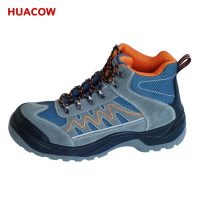 Breathable Leather Safety Toe Work Shoes DS427