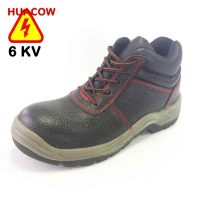 Plastic Steel Toe Insulation Safety Shoes with Kavlar Midsole DS923