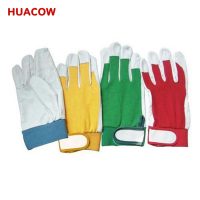 CE Certificate Goat Skin/Pig Leather Driver’s Gloves HD242