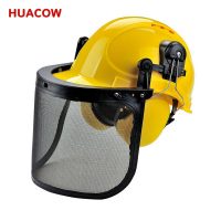 Hard Hats with Ear Muff Faceshield Kits CH6332