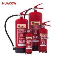 China Portable Foam Fire Extinguisher FP400